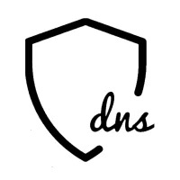 反思：DNS + 防火墙 + VPN